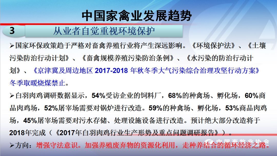 家禽最新消息，行业动态与技术发展引领农业领域革新