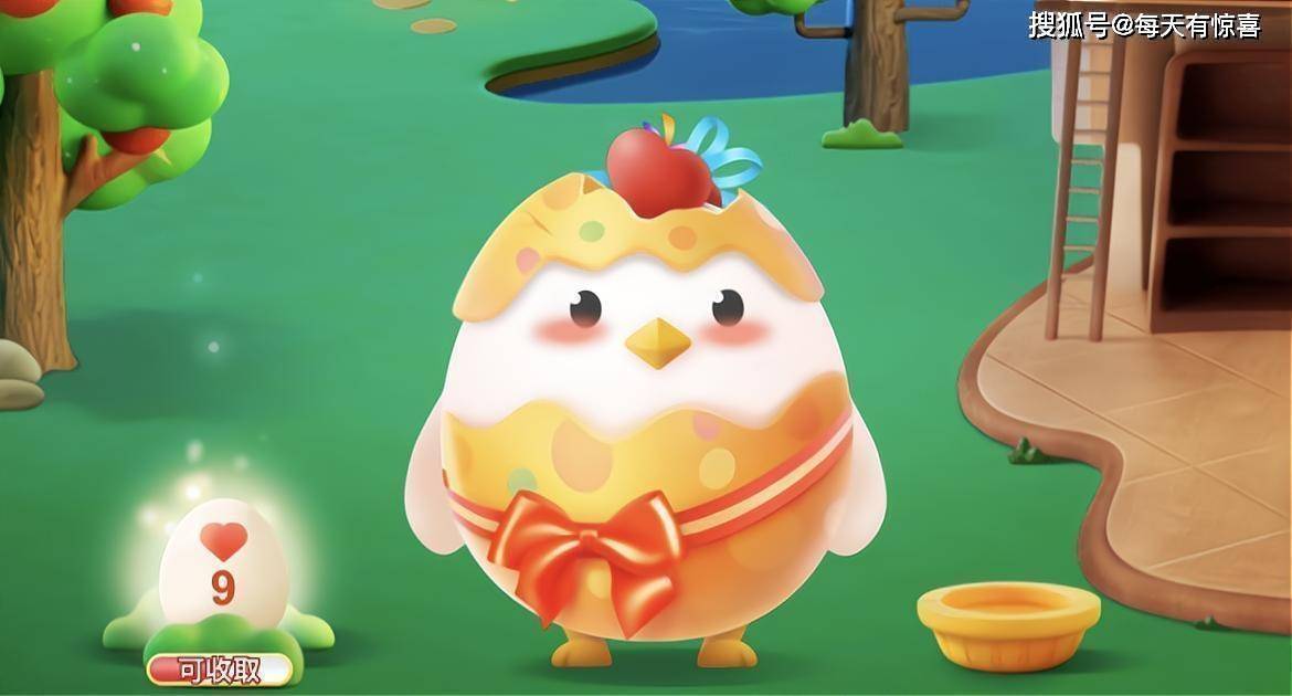 小鸡宝宝每天最新答案探索与解析