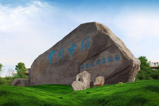 江西樟树最新发布——繁荣与发展并进的绿色产业新篇章