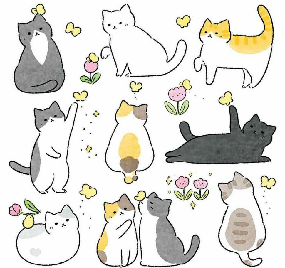 最新流行的小猫猫咪，探索魅力与照顾之道